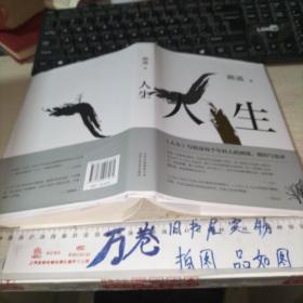 人生  精装