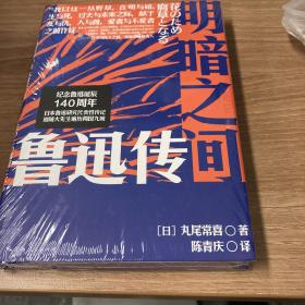 明暗之间：鲁迅传（钱理群郑重推荐，带你沉浸式闯入觉醒年代）