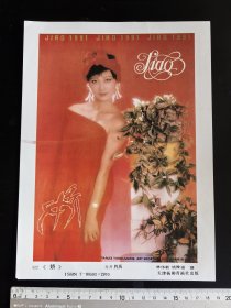 90年代岀品16开（娇，90年代美女画）