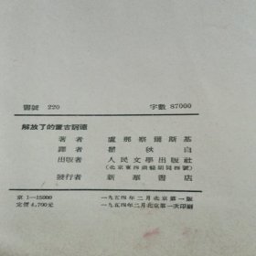 解放了的董吉诃德