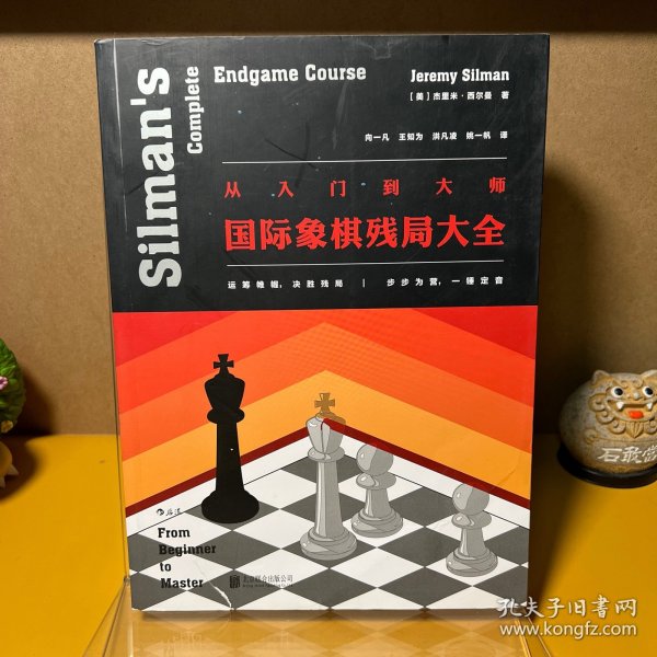 从入门到大师：国际象棋残局大全（一版一印）