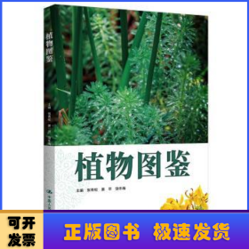 植物图鉴