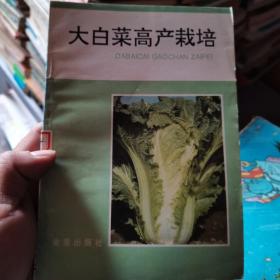 大白菜高产栽培