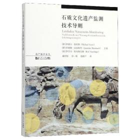 石质文化遗产监测技术导则/遗产保护译丛