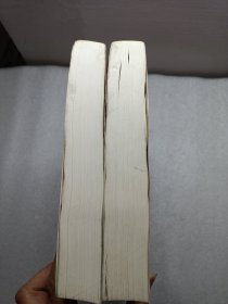 中医证候学（中下册）