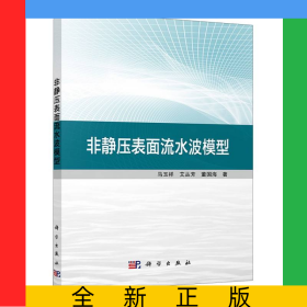 非静压表面流水波模型