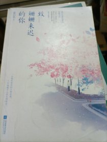 致姗姗来迟的你（套装全二册）（）