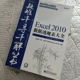 Excel 2010数据透视表大全