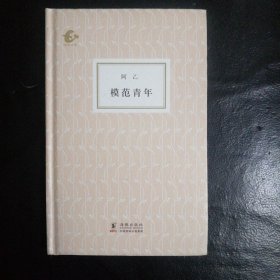 【 艺苑宝斋挽回 稀缺类自残本 包快递】此类稀缺书正文被书的原主人从头到尾撕破。但不缺页 《模范青年》 阿乙 著 无字无划无章 【自残本】