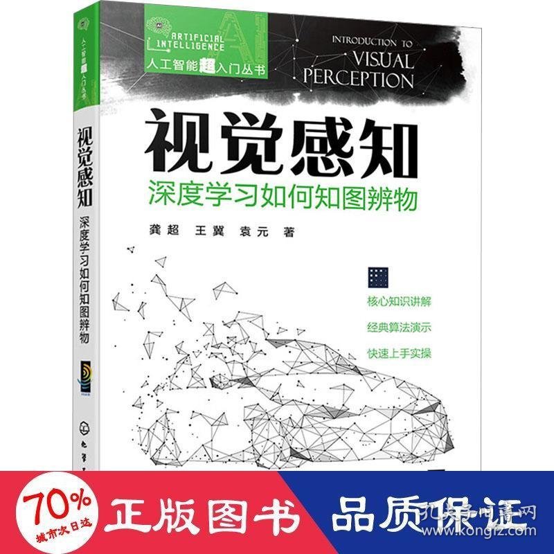 保正版！视觉感知 深度学习如何知图辨物9787122422880化学工业出版社龚超,王冀,袁元