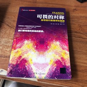 可畏的对称：探寻现代物理学的美丽