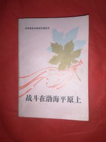 战斗在渤海平原上