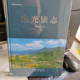 庞光镇志 未拆封