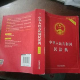 中华人民共和国民法典 2020年6月新版B3(250)