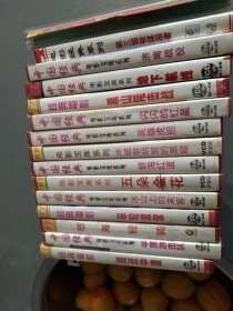 优秀战斗故事片共15盒30片VCD（地下航线，碧海红波，平原游击队，第三个被谋杀者，英雄虎胆，车轮滚滚，黑山阻击战，五朵金花，挺进中原，济南战役，冲破黎明前的黑暗，怒海轻骑，南征北战，闪闪的红星，冰山上的来客）