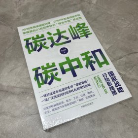 碳达峰碳中和：国家战略行动路线图 袁志刚 循环经济 低碳经济 环境气候