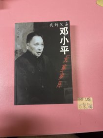 我的父亲邓小平：文革岁月（有光盘）