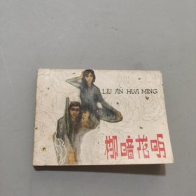 柳暗花明