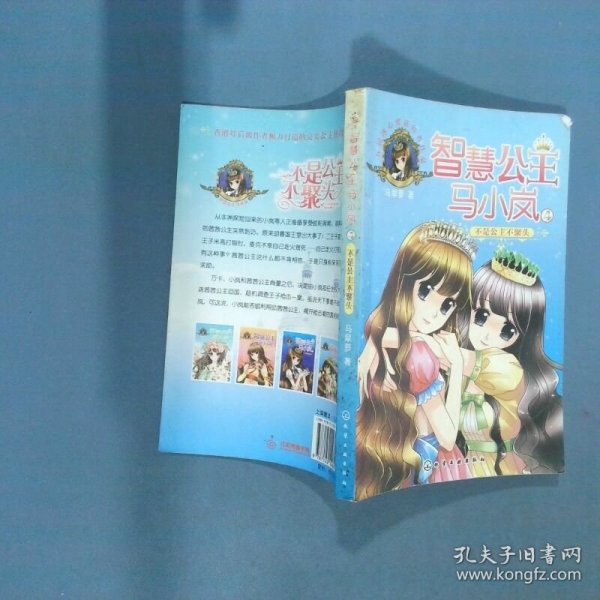 智慧公主马小岚  不是公主不聚头  马翠萝 化学工业出版社