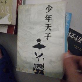 少年天子