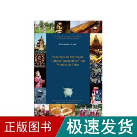 中国世界级非物质文化遗产概览（西）