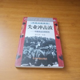 失业冲击波:中国就业发展报告