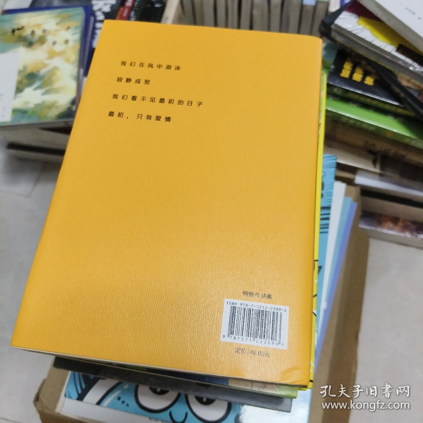 是树木游泳的力量：顾城诗选（作家经典文库）朦胧诗代表人物顾城各时期经典诗歌代表作全收录