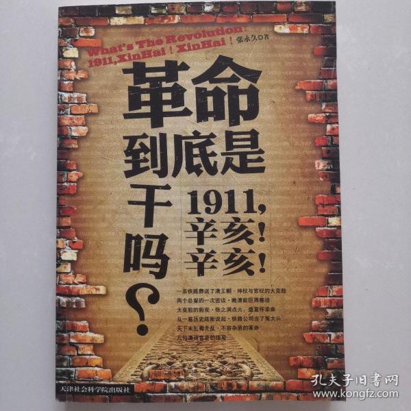 革命到底是干吗？：1911，辛亥！辛亥！