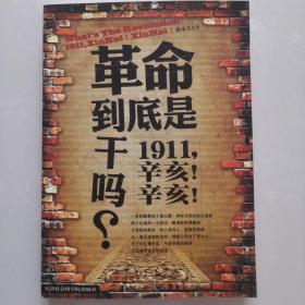 革命到底是干吗？：1911，辛亥！辛亥！