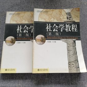 21世纪社会学系列教材：社会学教程（第二版）