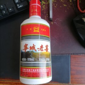 宁城老窖瓷酒瓶