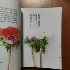 花颜花语