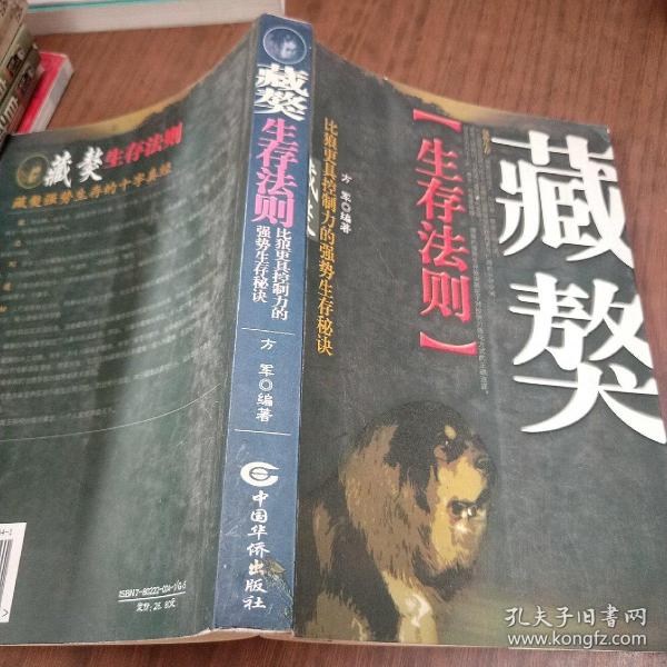 奥林匹克数学：思维导引详解（5年级）