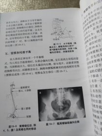 脊柱相关疾病治疗学（第3版）