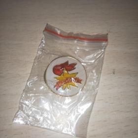 徽章:中国少先队(塑封:有机玻璃面，背面:吸铁磁)2个