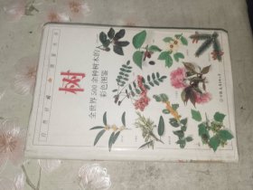 外国文学《自然珍藏图鉴丛书：树--全世界500余种树木的彩色图鉴》大32开软精装，详情见图！东2--4（15）