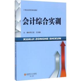 综合实训 大中专文科经管 阳正发，王东赓主编 新华正版