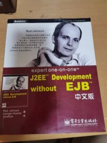 expert one-on-one J2EE Development without EJB 中文版