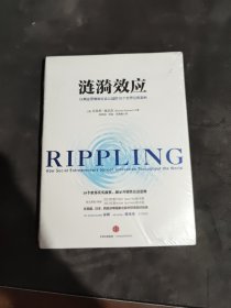 涟漪效应：以商业思维做社会公益的18个世界经典案例（未开封）