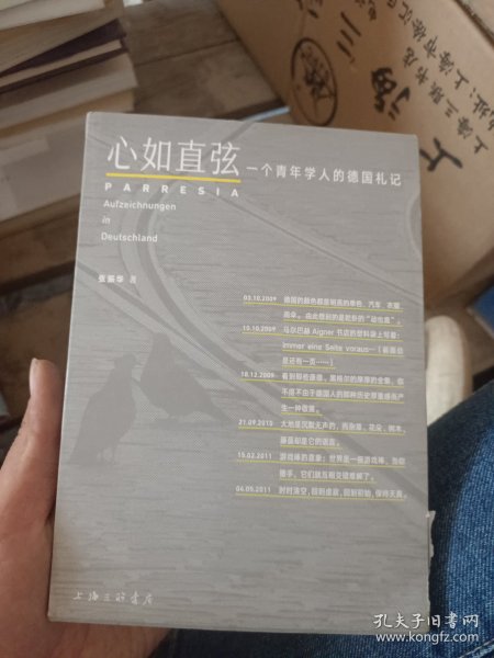 心如直弦：一个青年学人的德国札记