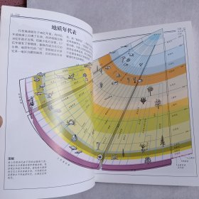 化石：全世界500多种化石的彩色图鉴