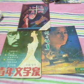 青年文学家 总30期 小说专号 小说与故事1987年11 小说天地987年4 3本合售