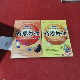 奇思妙题:100个创新思维的谜题 100个视觉与图像的奇幻游戏（两册合售）