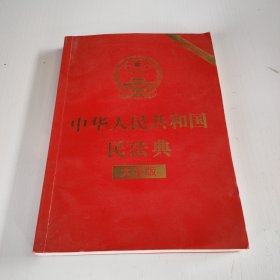 中华人民共和国民法典 大字版