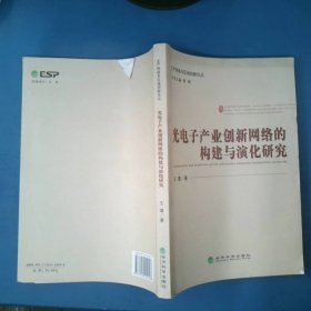 生产网络与区域创新论丛：光电子产业创新网络的构建与演化研究