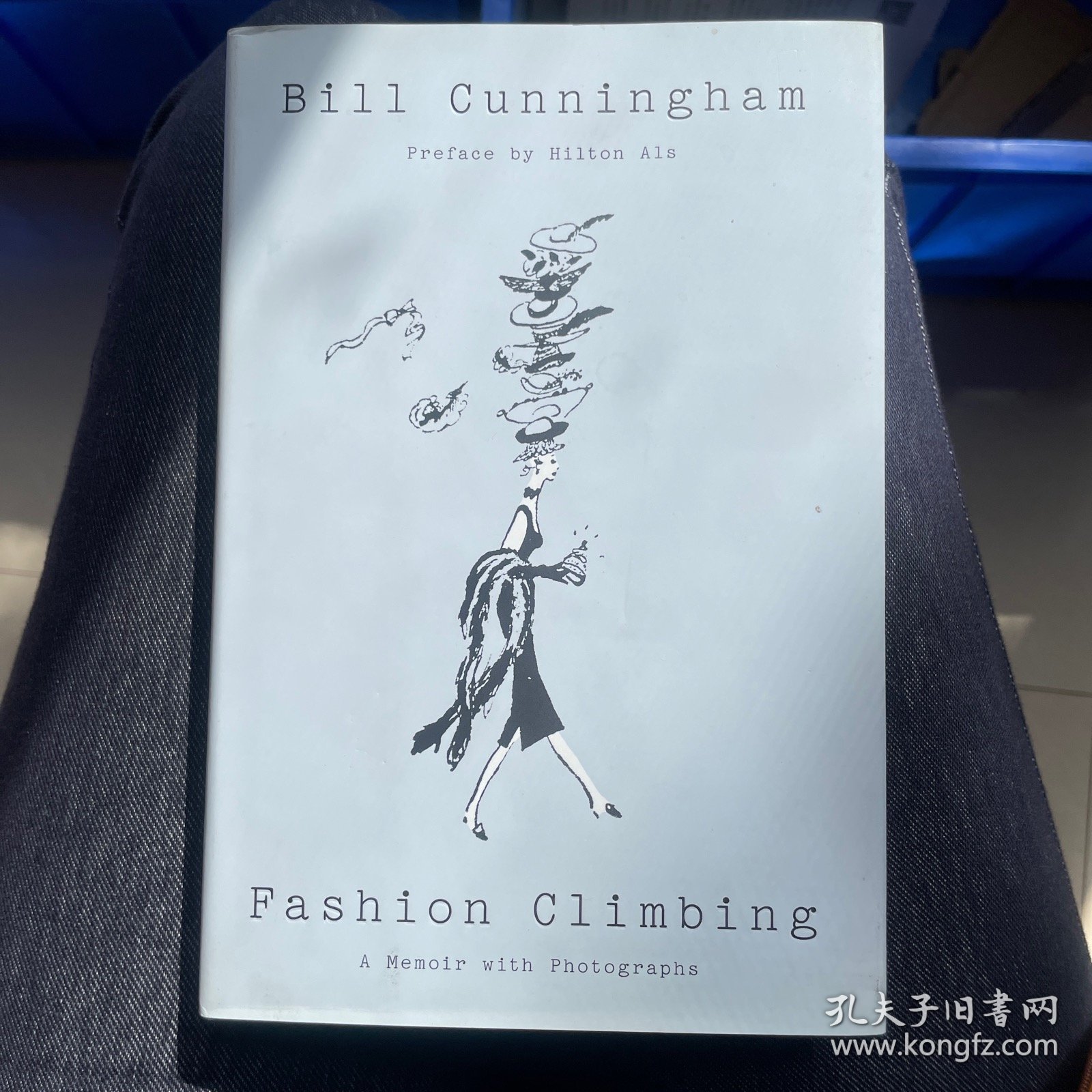 Bill Cunningham Fashion Climbing
