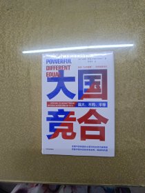 大国竞合：把握中美关系的未来走势、挑战和机遇