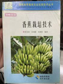 香蕉栽培技术