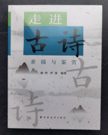 《走进古诗：素描与鉴赏》塑封未拆z