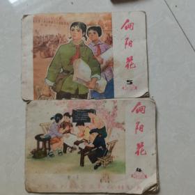 向阳花（76年4—5期）